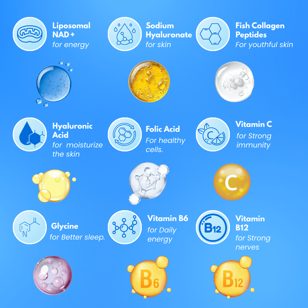 The 9 ingredients in YouthPrime, each with its icon